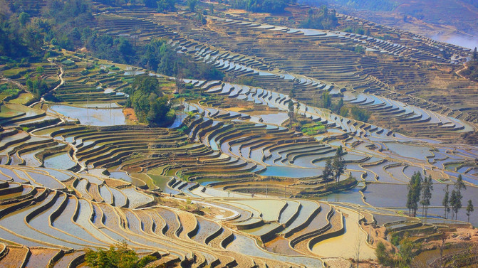 昆明旅游网