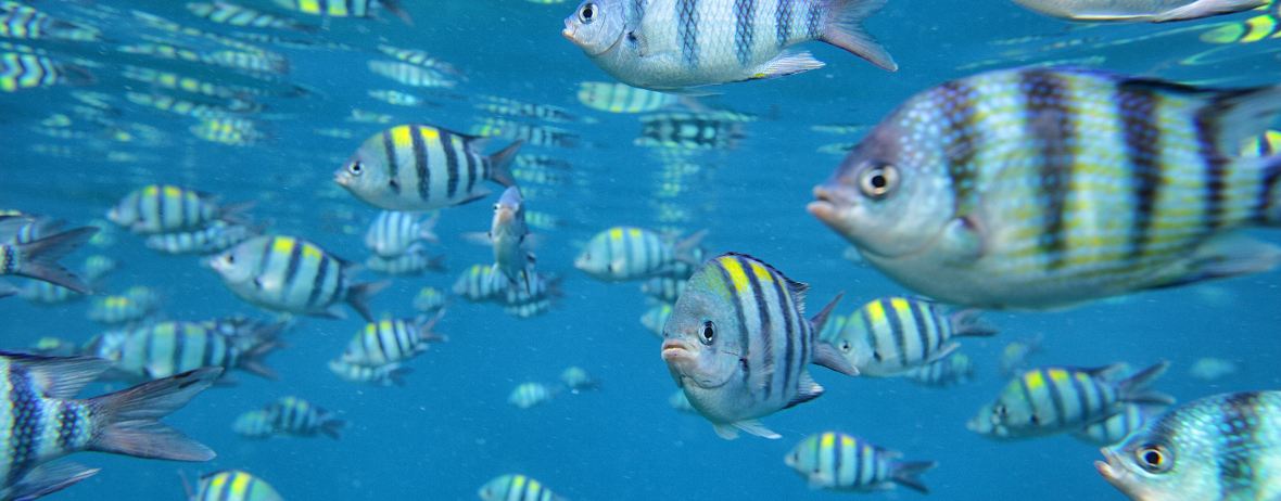 22年停泊岛旅游攻略 10月停泊岛自助游 自驾 出游 自由行 游玩攻略 携程攻略