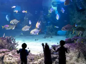 Top 11 Family-friendly Attractions in Penang