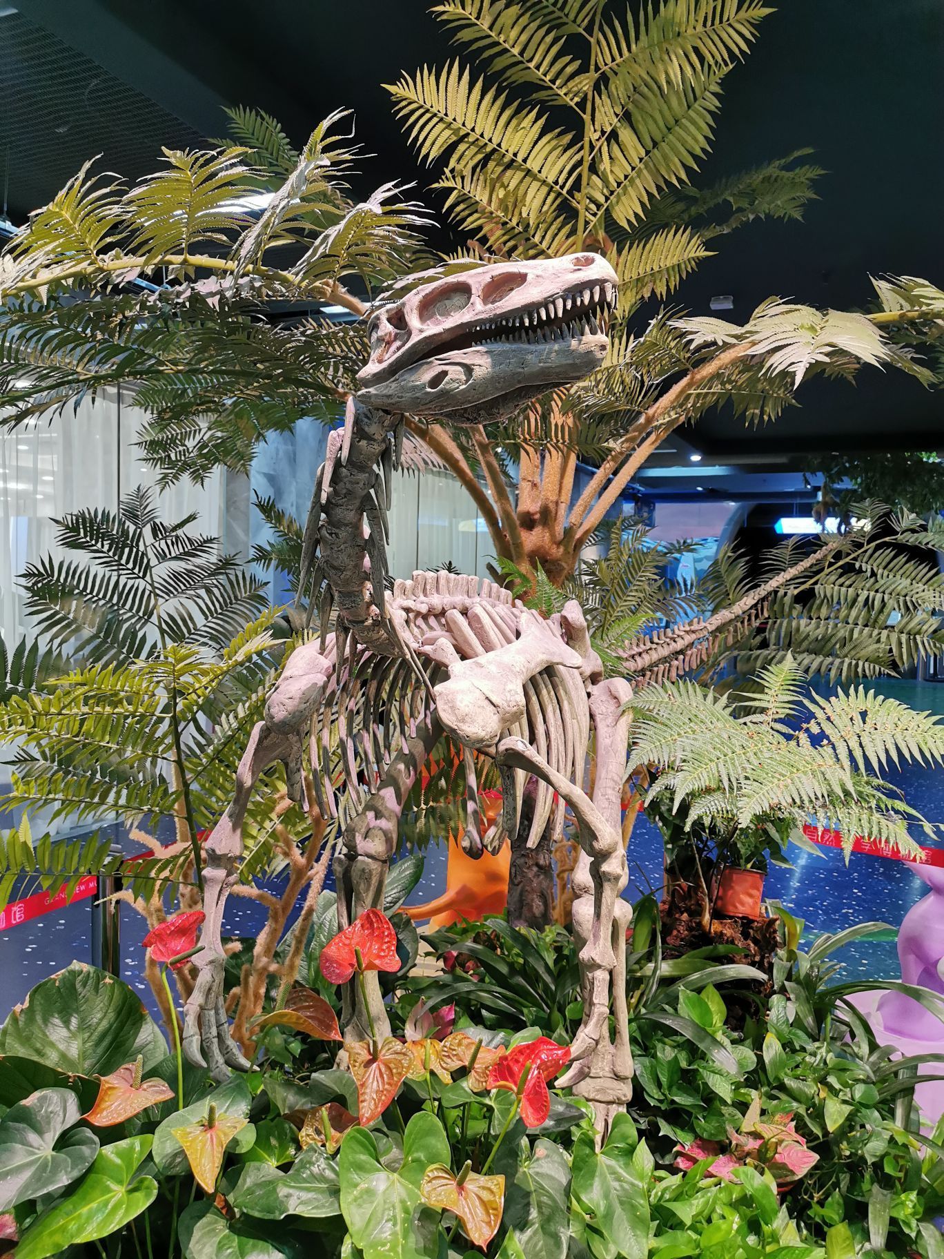 正佳广场的自然科学馆门口摆放着一只恐龙的化石模型做的挺逼真的