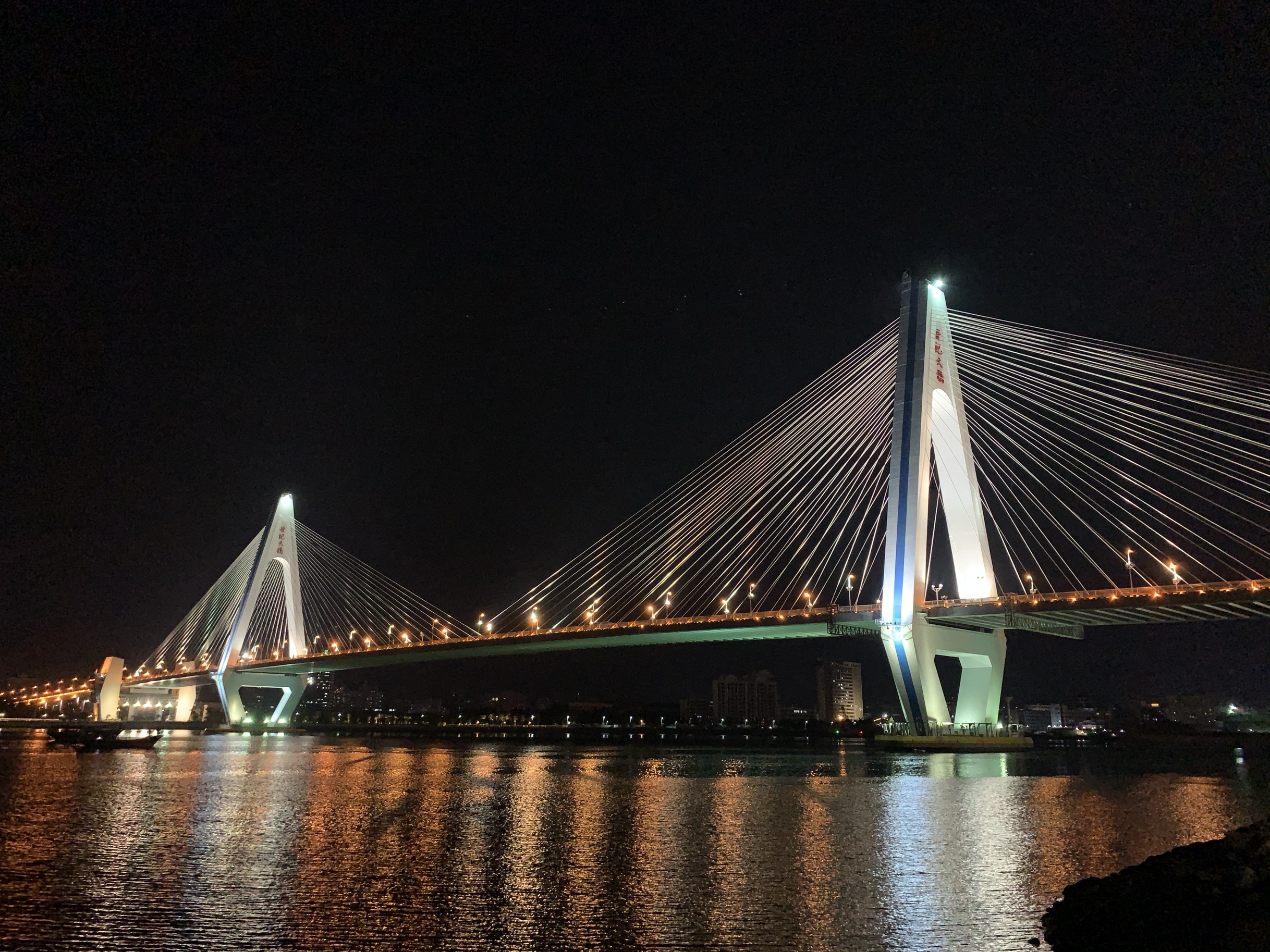 海口特大桥图片