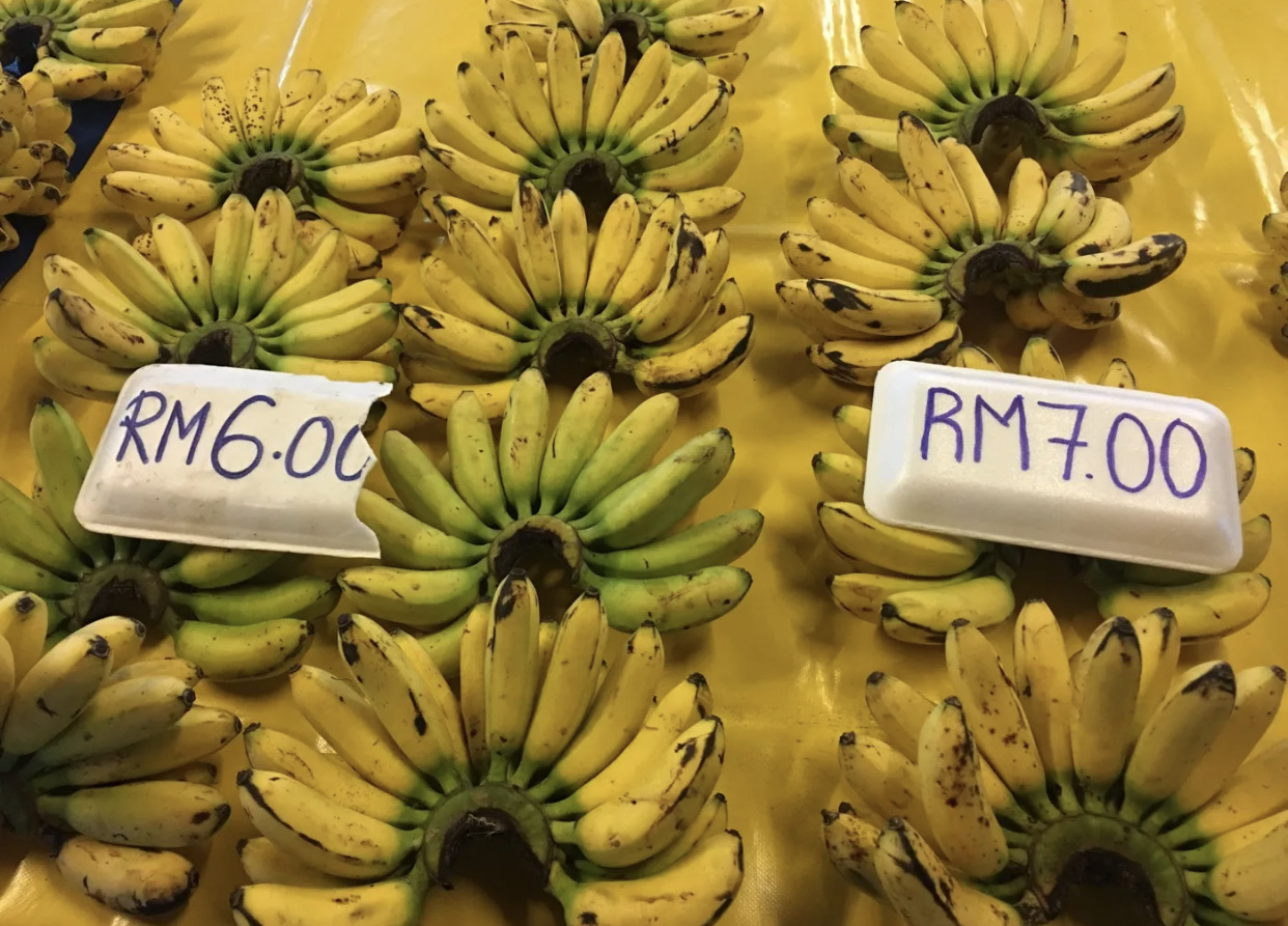 菲律宾人新年家中要摆12种圆水果 西瓜变身“福果” - 菲律宾_风土人情 - 护士网—官方网站