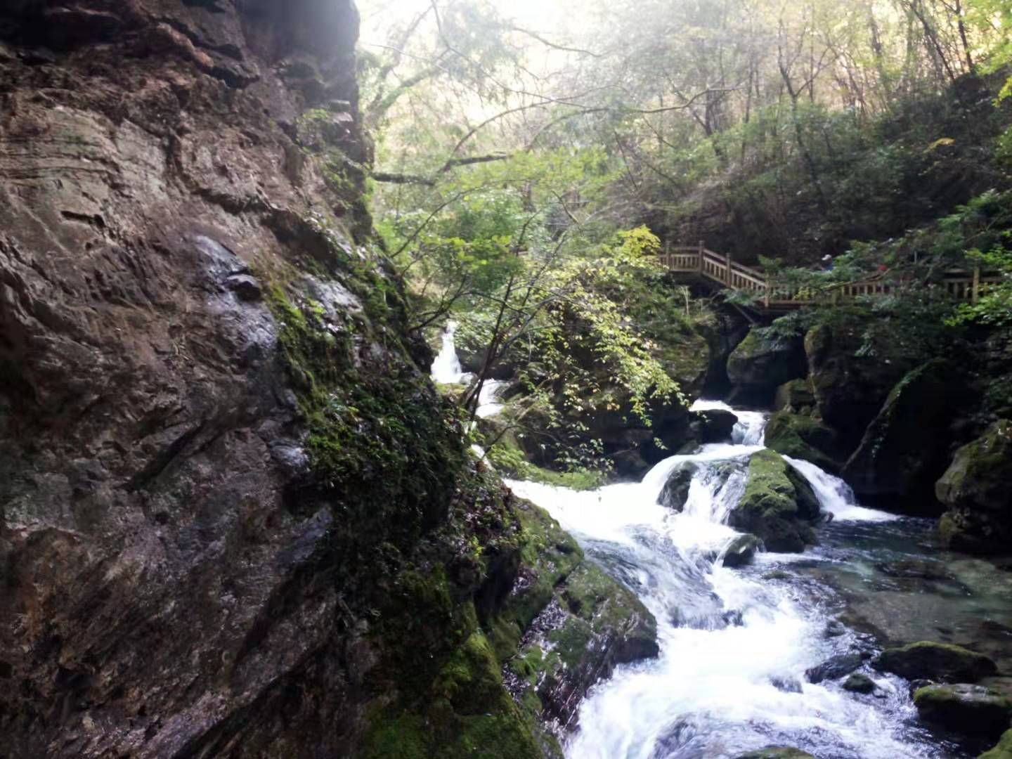 神農架國際生態旅遊區旅遊景點攻略圖