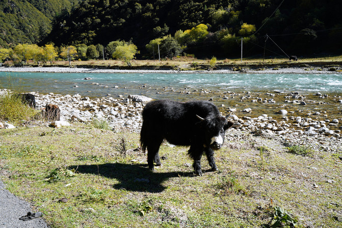 昆明旅游网