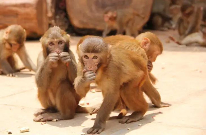 昆明旅游网