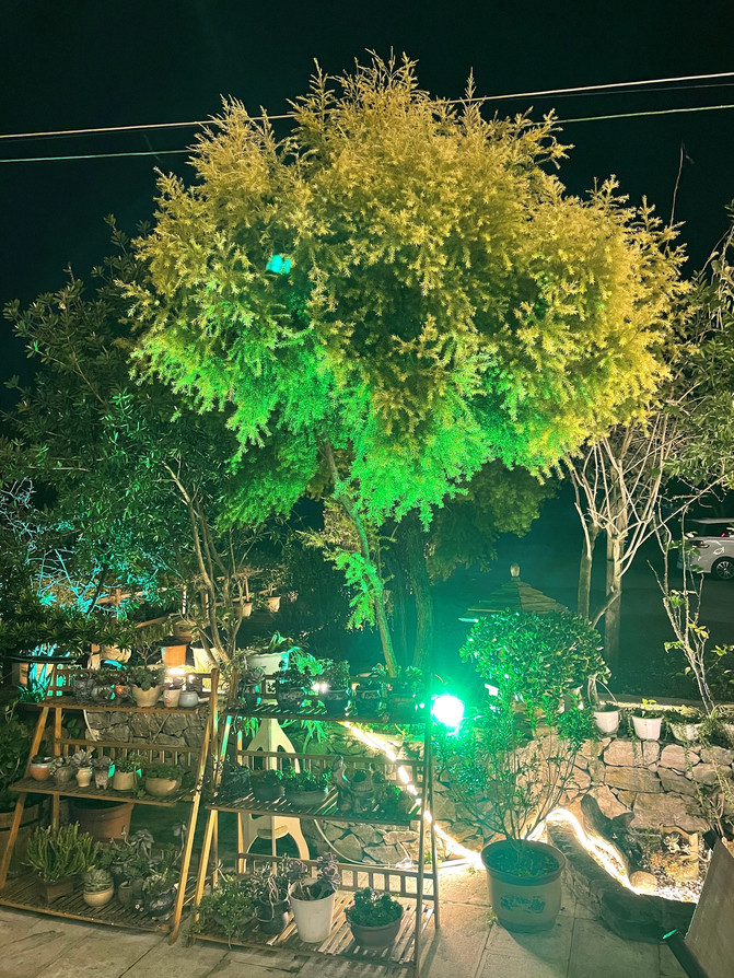 昆明旅游网