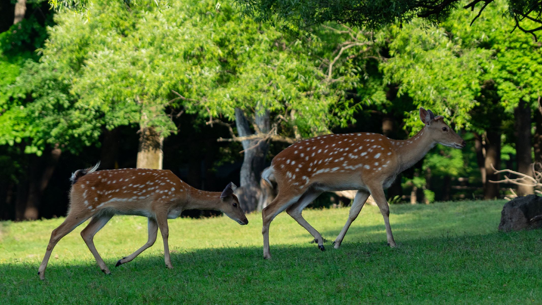森工平山旅游区