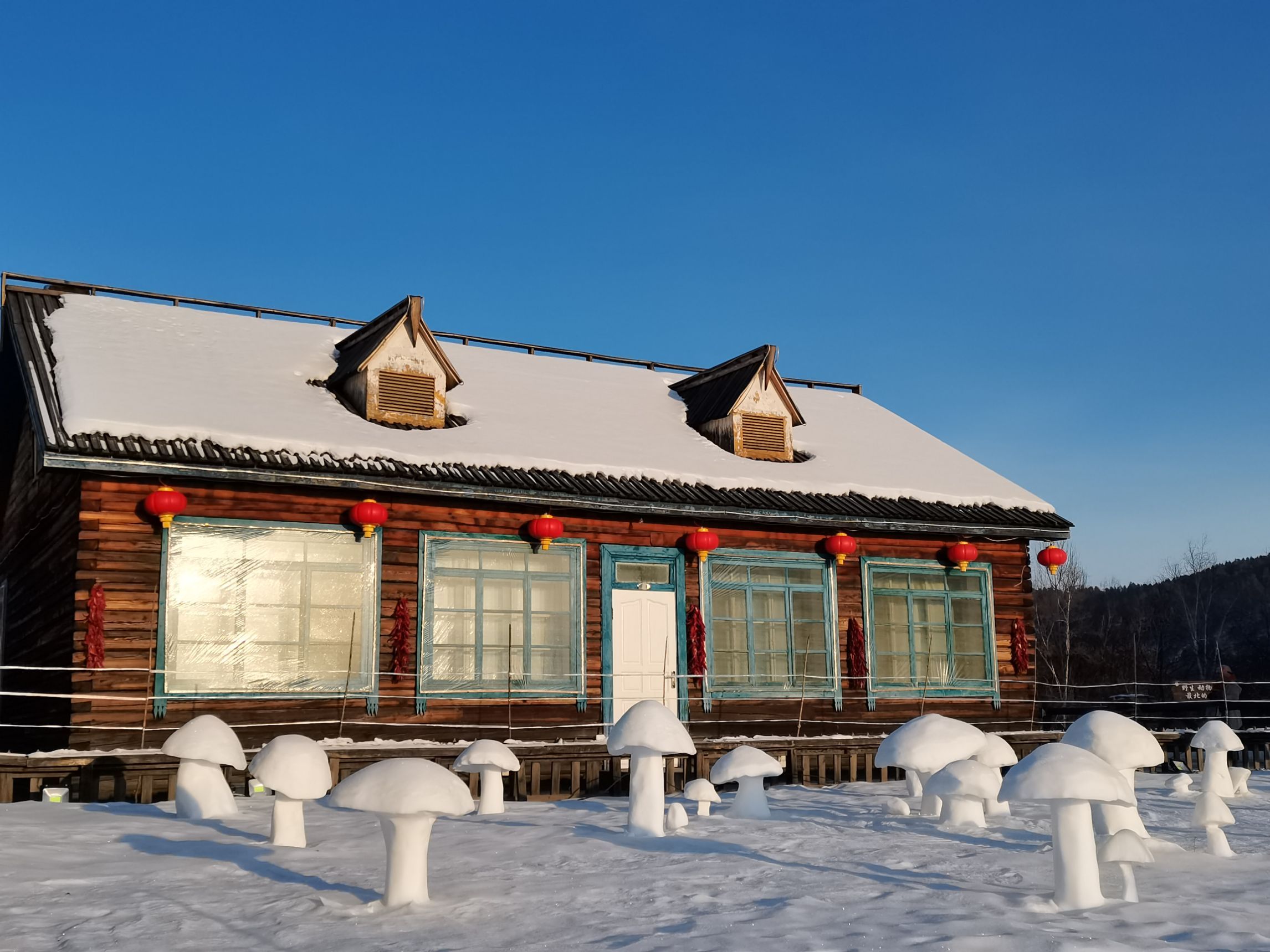 北极地区传统民居图片