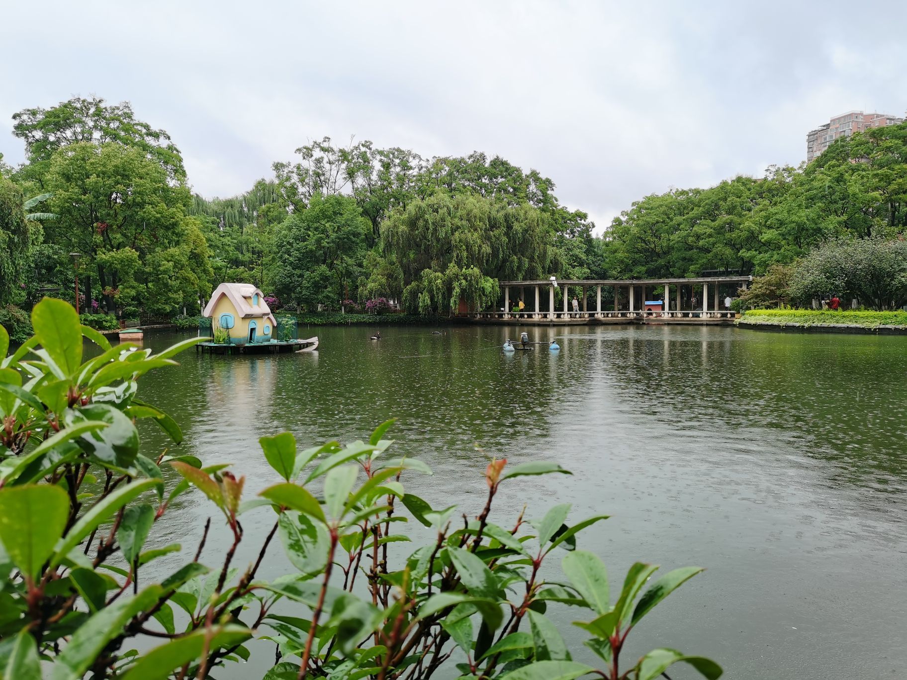 【携程攻略】昆明翠湖公园景点,不要钱.