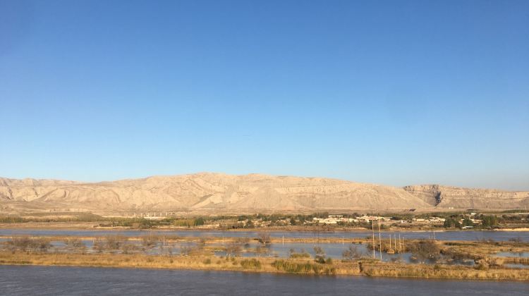 乌海胡杨岛攻略-胡杨岛门票价格多少钱-团购票价预定优惠-景点地址