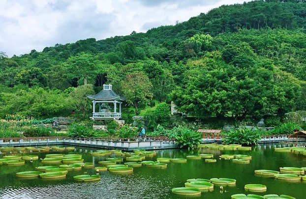 南寧青秀山攻略,南寧青秀山門票/遊玩攻略/地址/圖片/門票價格【攜程