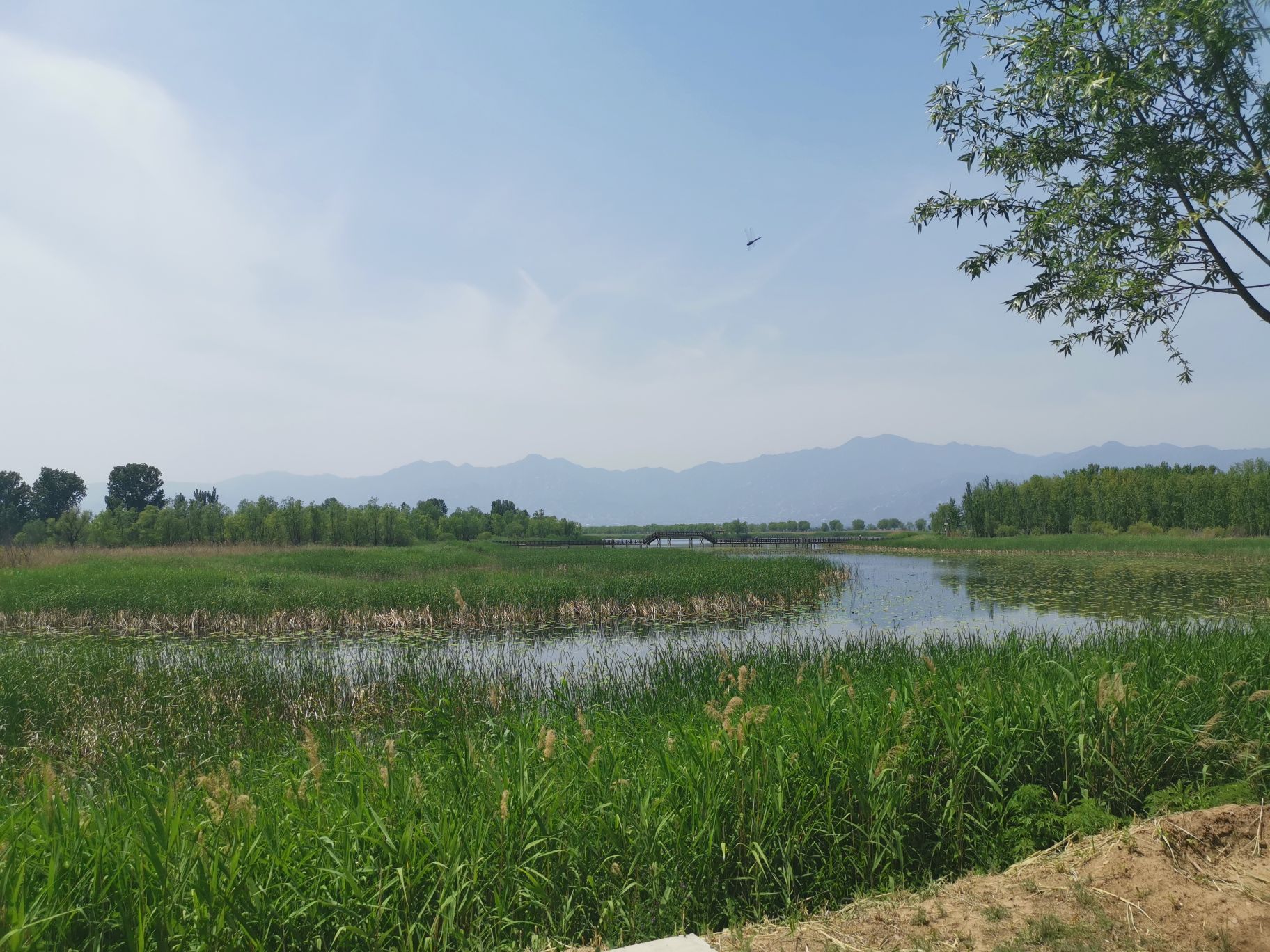 【携程攻略】北京野鸭湖国家湿地公园景点,野鸭湖位于延庆官厅水库湖畔，是北京观赏候鸟的最佳地点，可是门票50…