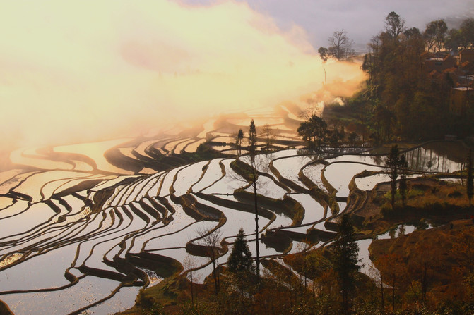昆明旅游网