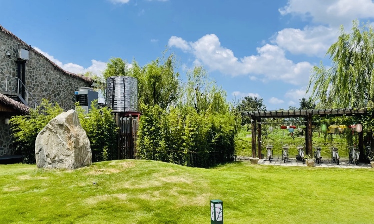 上海百树坡攻略-百树坡门票价格多少钱-团购票价预定优惠-景点地址