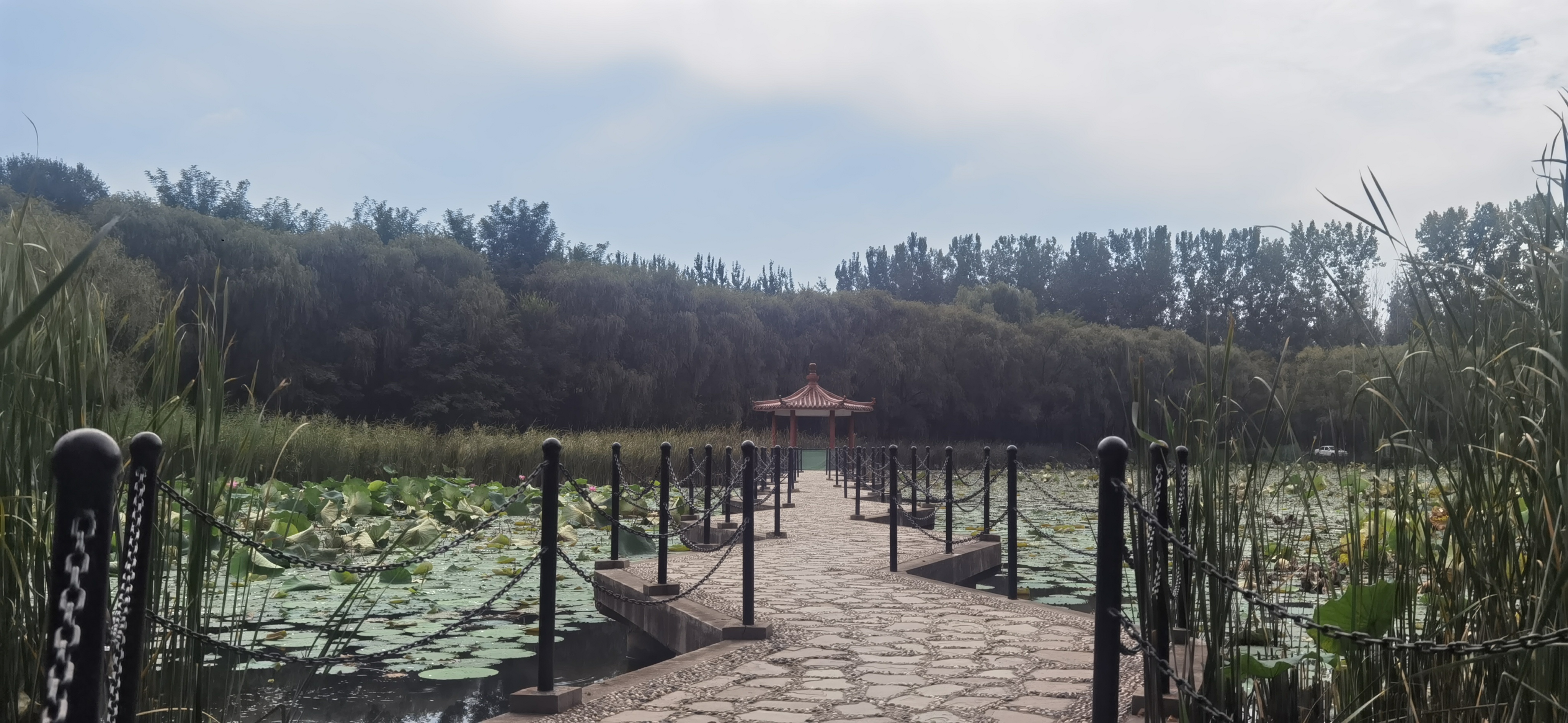 灤州2日遊:灤縣森林公園的自然靜謐,古城的歷史魅力