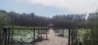 2-Day Luanzhou Tour: Natural serenity of Luanzhou Forest Park, historical charm of the Ancient City