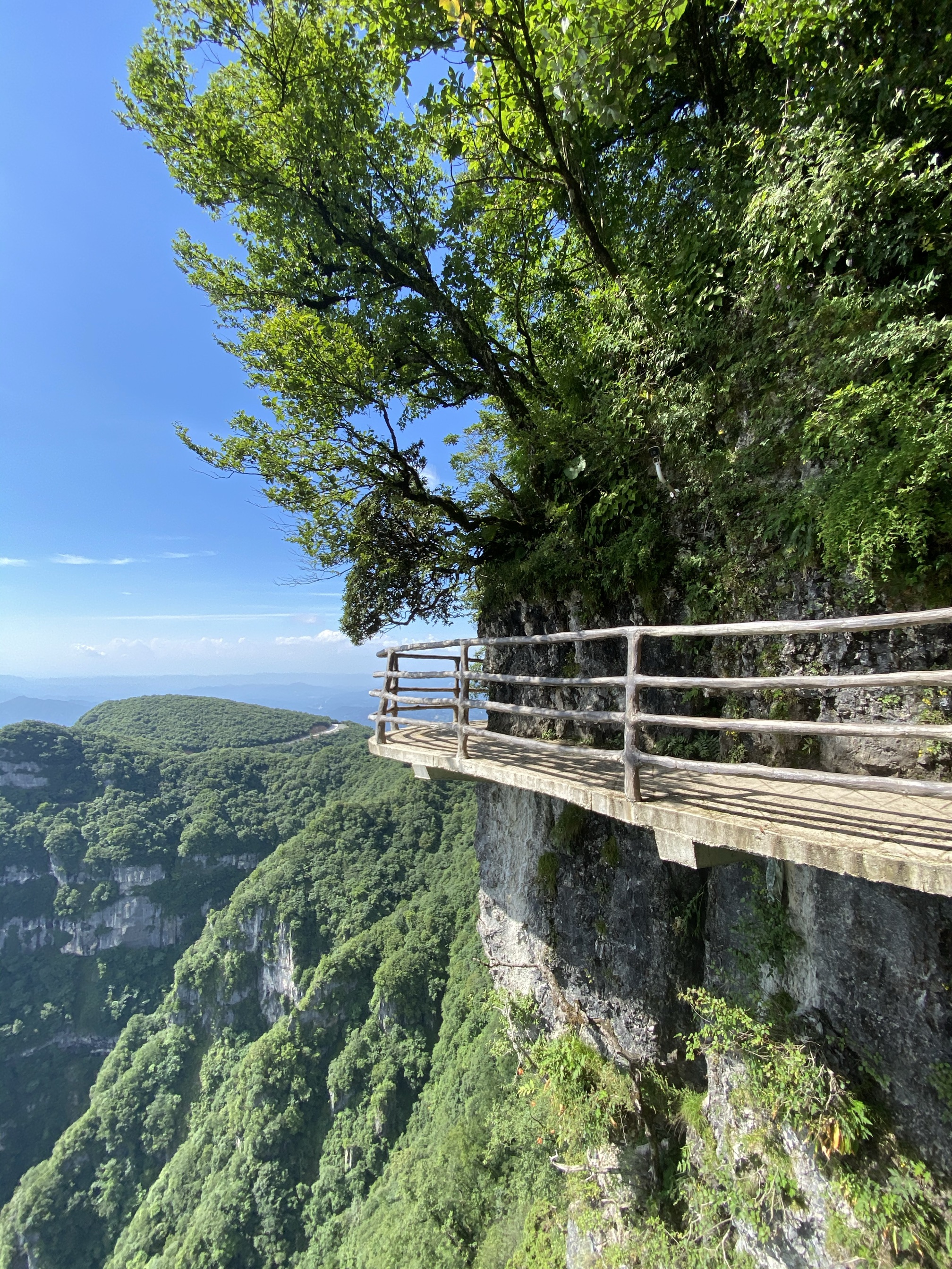 龍頭山玻璃棧道現在開放不?