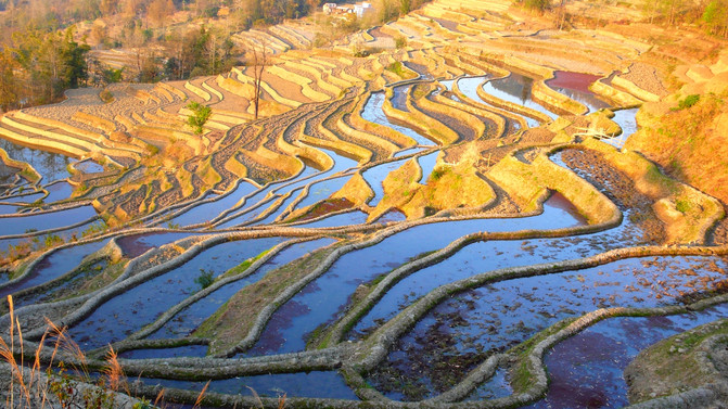 昆明旅游网