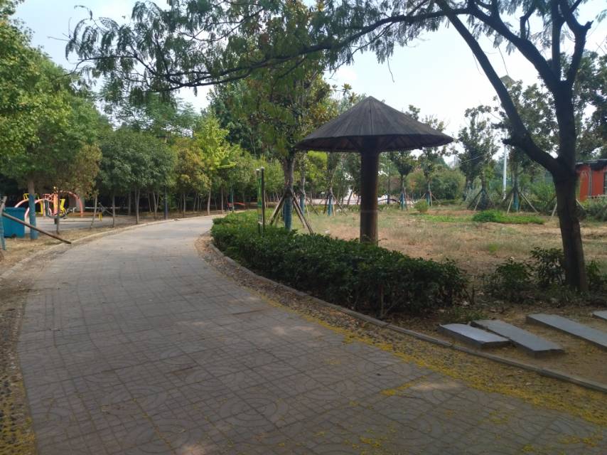 2-Day Xinye Tour: Baihe Wetland Park's ecological beauty, Wolong Hill's cultural heritage