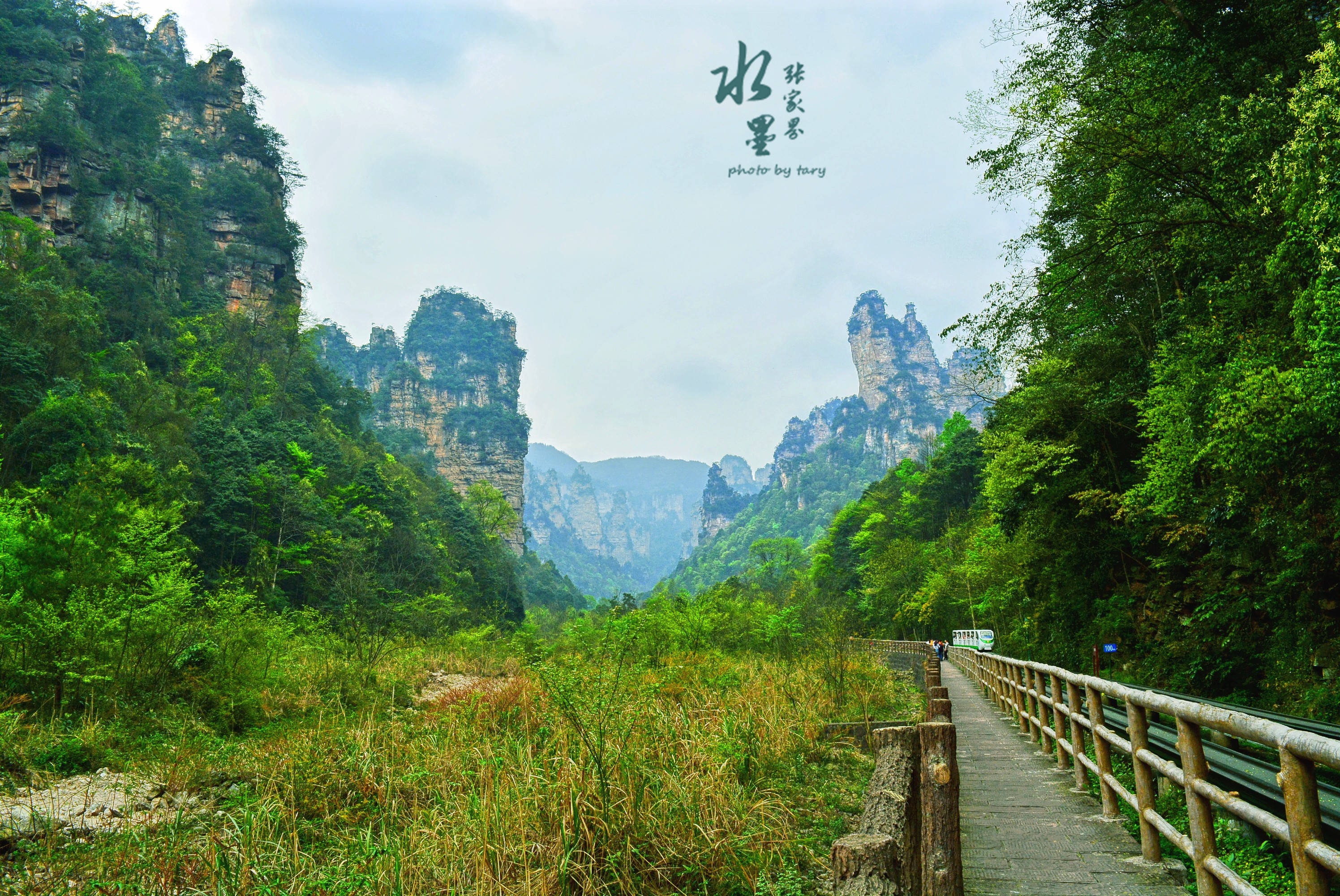 【携程攻略】武陵源区十里画廊适合朋友出游旅游吗,十里画廊朋友出游