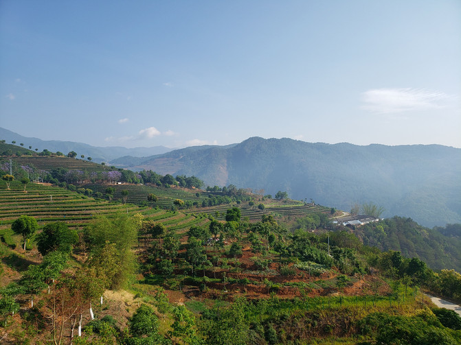 昆明旅游网