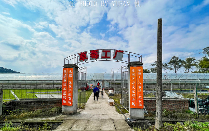 重庆家庭农场的发展现状与未来展望