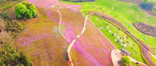 3-Day Zhuji Tour: Cultural charm of Xishi Native Place, wetland beauty of Baita Lake