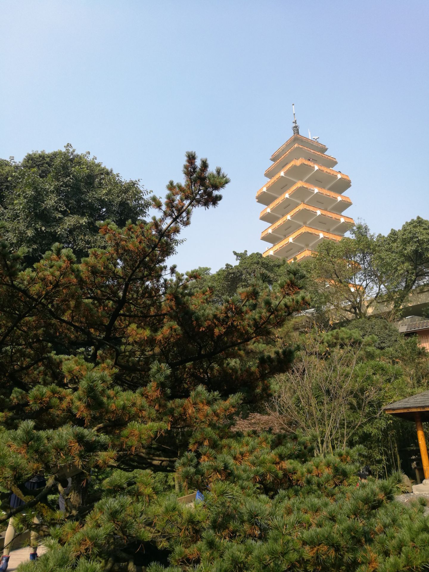 重慶鵝嶺公園好玩嗎,重慶鵝嶺公園景點怎麼樣_點評_評價【攜程攻略】