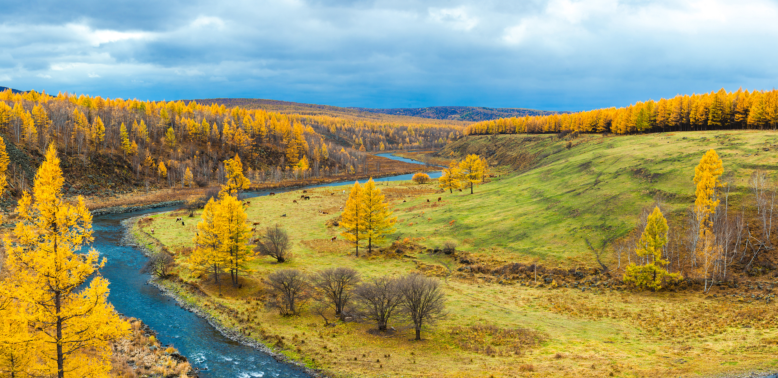 伦贝尔大草原6日私家团(4钻)【金秋美景·私享suv包车】阿尔山季节性