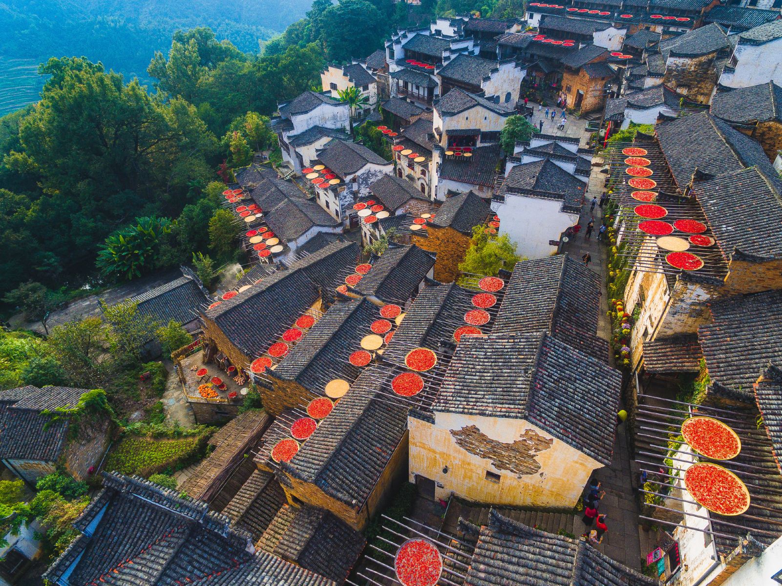 婺源被称为“中国最美的乡村”……