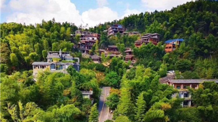 明日08:00开放 优待政策|实用攻略 63 南昌市湾里区梅岭镇别墅路