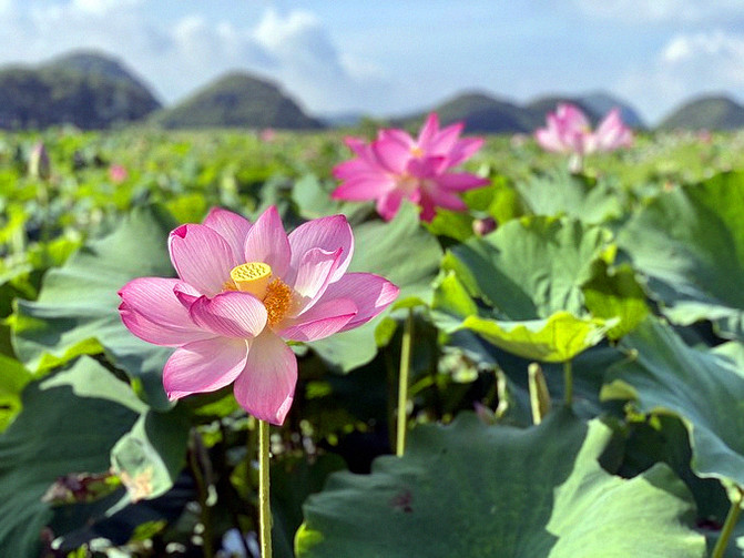 昆明旅游网