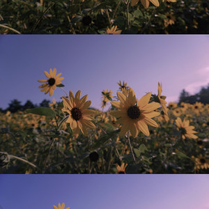 21立川市旅游攻略 7月立川市 Tachikawa 自助游 自驾 出游 自由行 游玩攻略 携程攻略