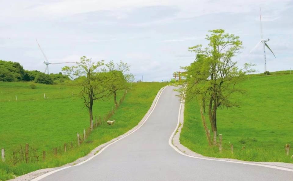 2-Day Weining Tour: Nightlang Forest and Caohai Lake Scenery, Jiucaiping Wildlands