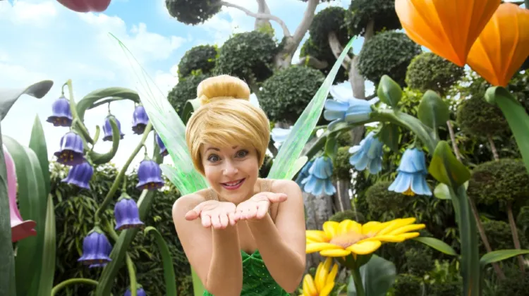 香港8日7夜行程規劃-幻想世界