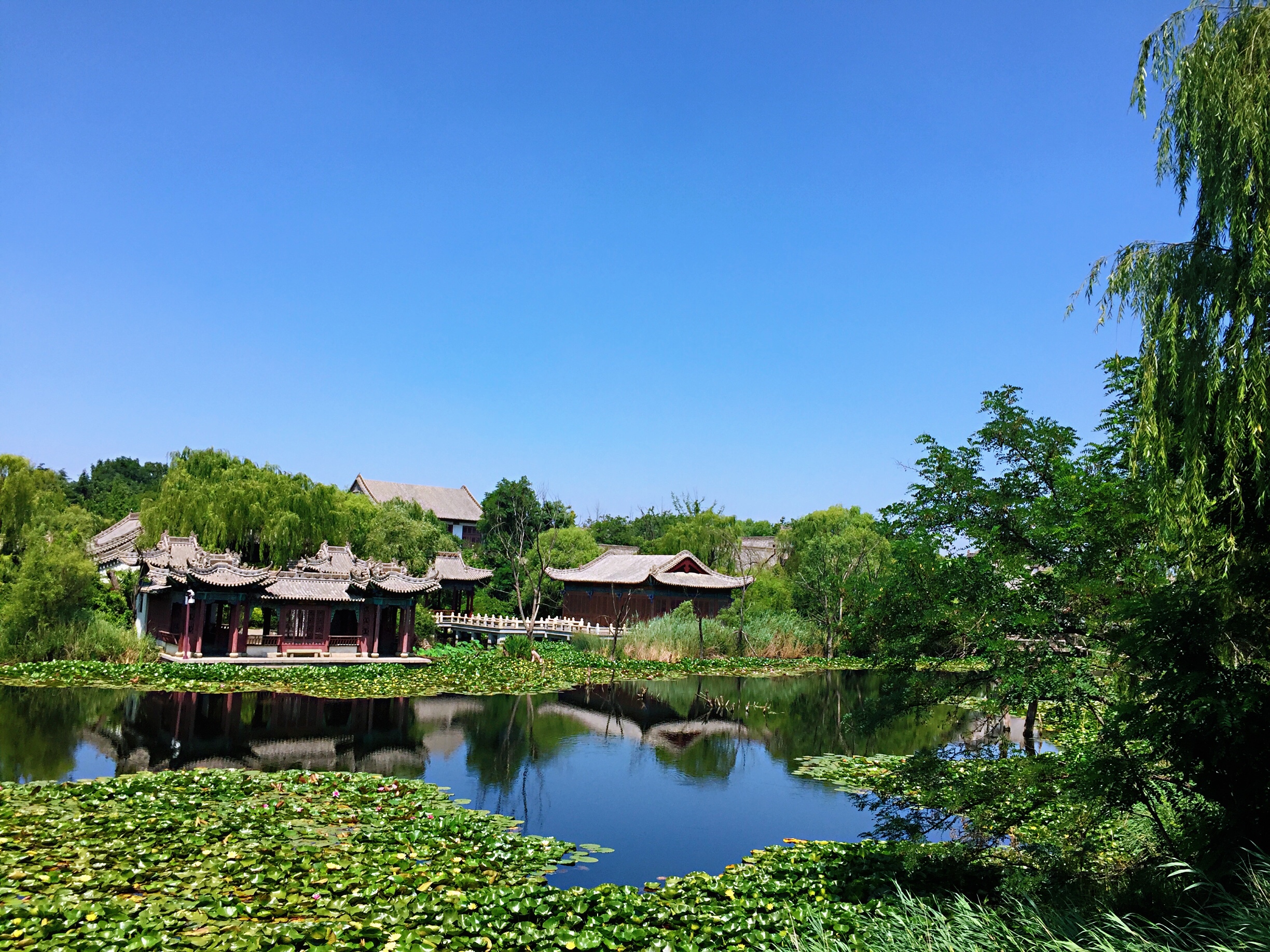 130身高要成人票是吗