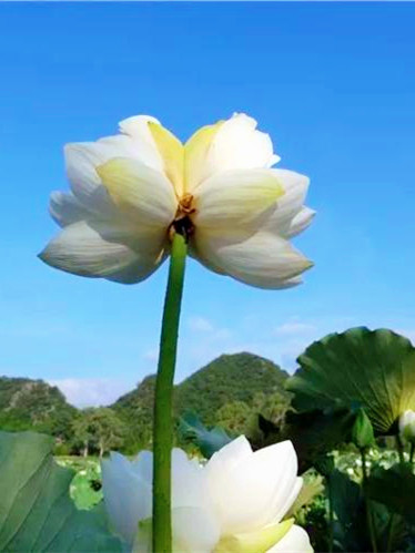 昆明旅游网