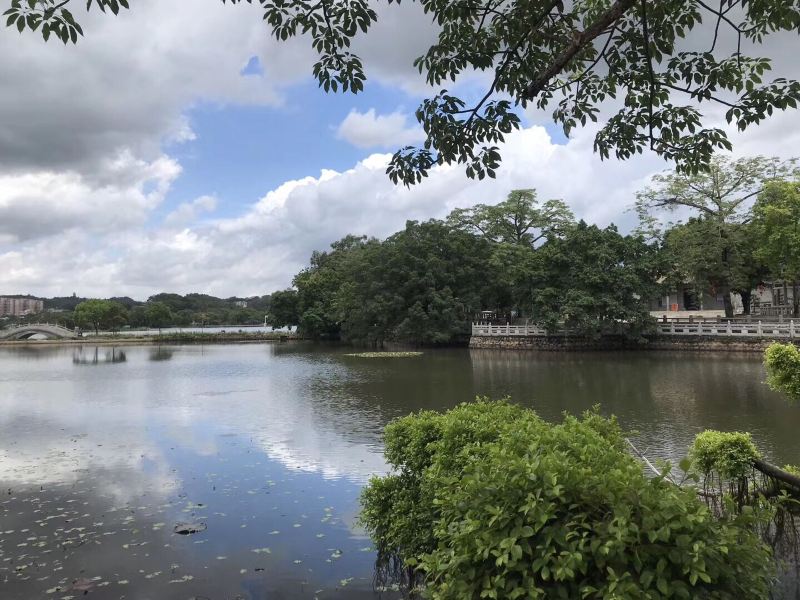 石龙西湖城市公园西区