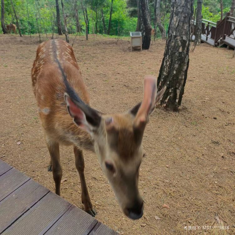 猪肉价格距历史低点不到三毛易游娱乐城- YY易游体育官方网站- 易游体育APP钱 今年为何“跌跌不休”？