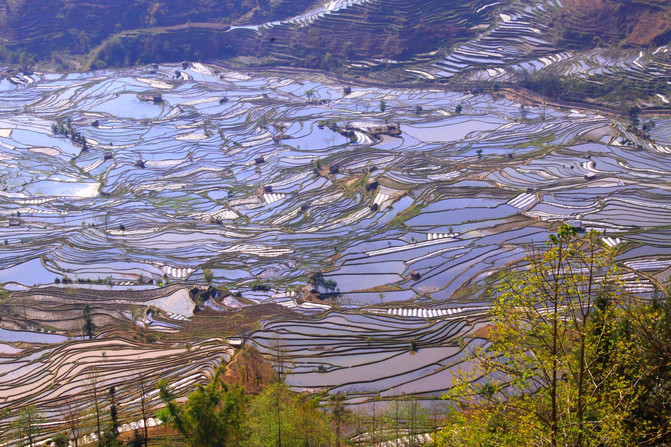 昆明旅游网