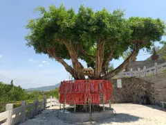 3-Day Nan'an Tour: Ancient Charm of Caizishen Dwellings, Jiuri and Wutai Mountains' Natural Beauty