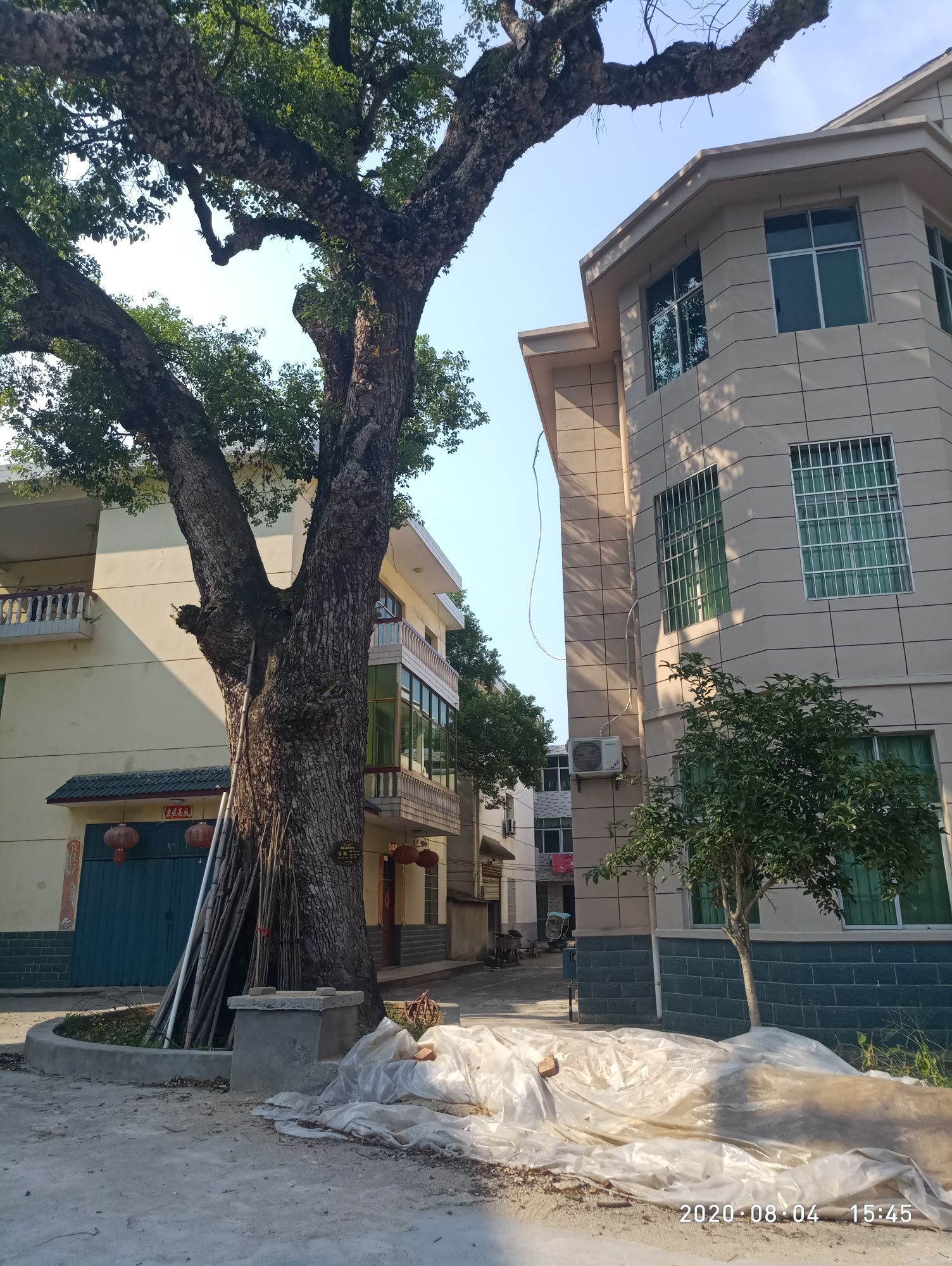 钤山镇湿地公园