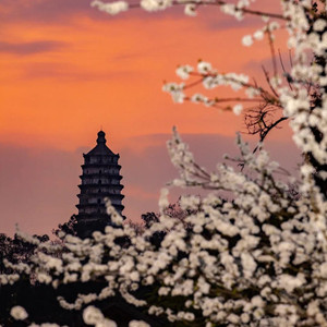 大足区游记图文-这五万余尊石像，是重庆在这个世界最伟大的传奇