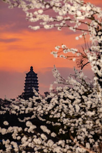 大足区游记图文-这五万余尊石像，是重庆在这个世界最伟大的传奇