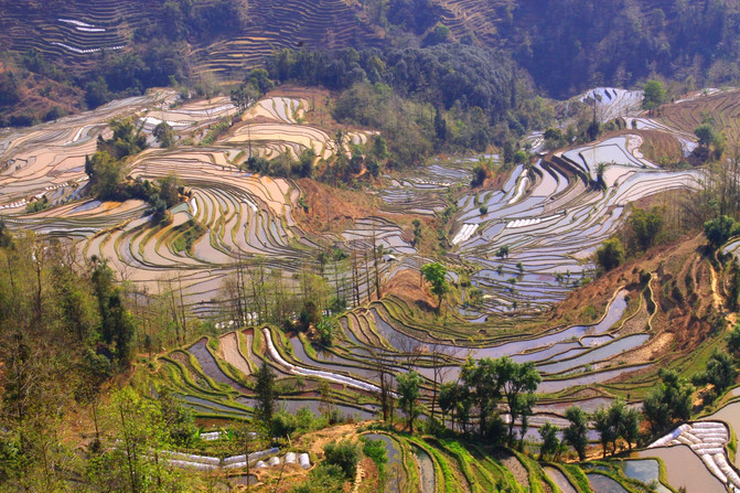 昆明旅游网