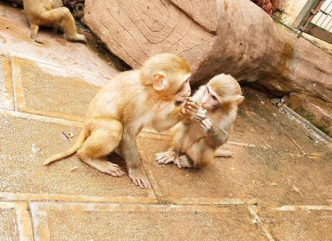 昆明旅游网