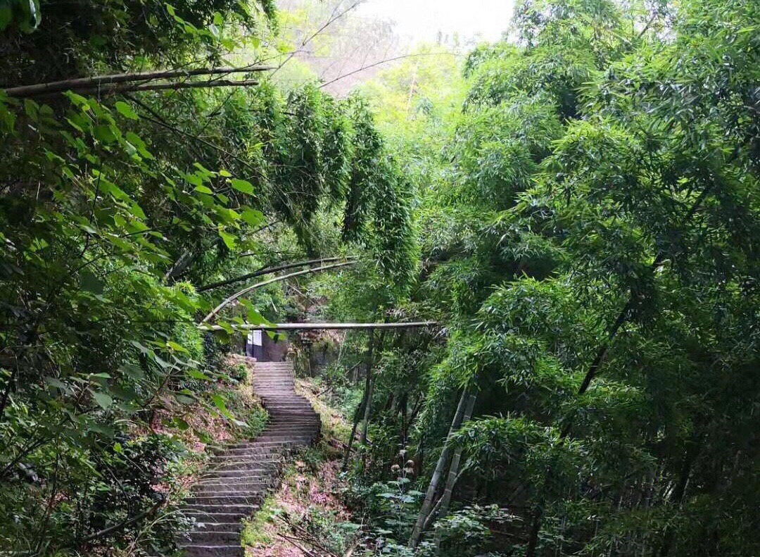 4A景区—黑麋峰