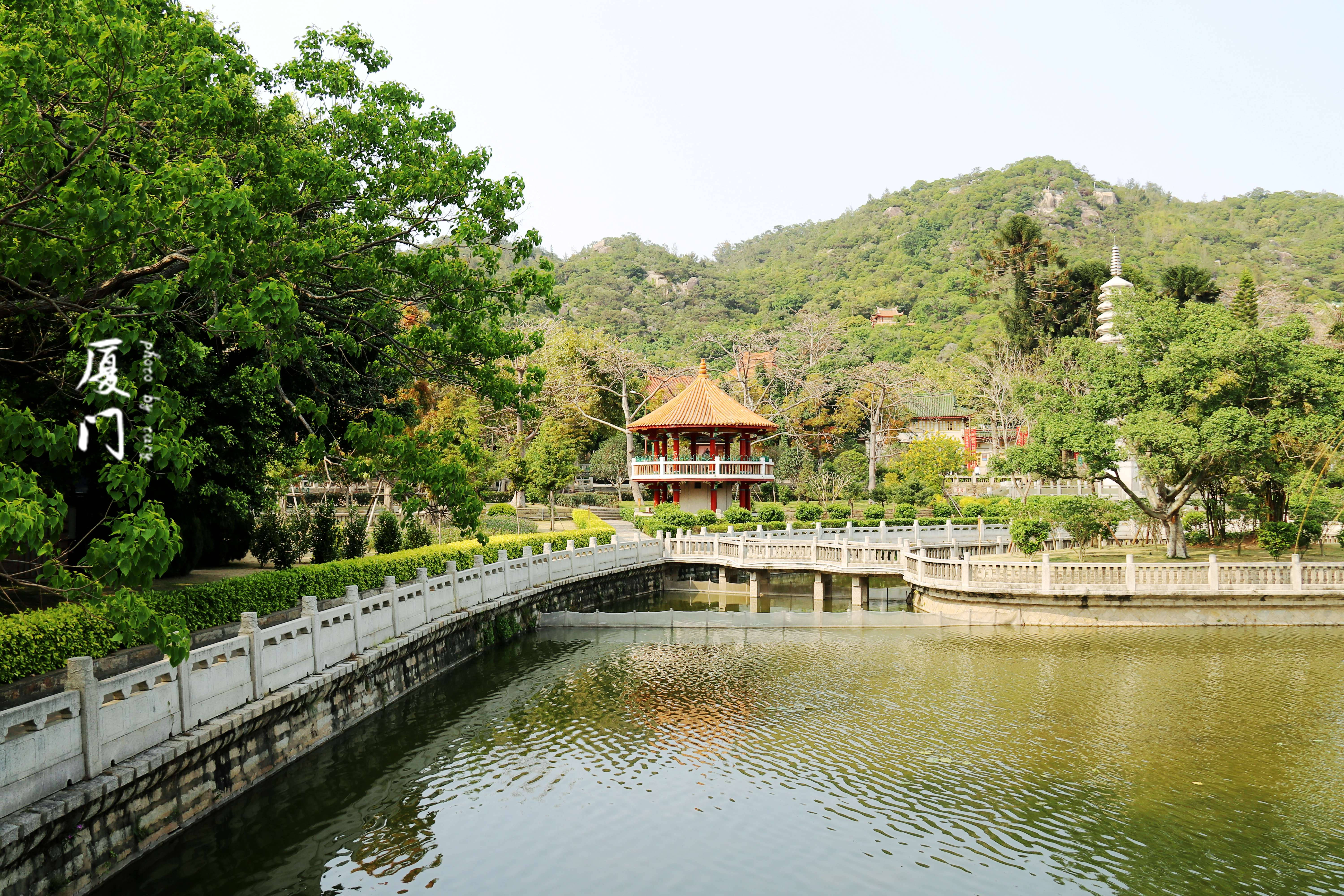 南普陀寺放生池