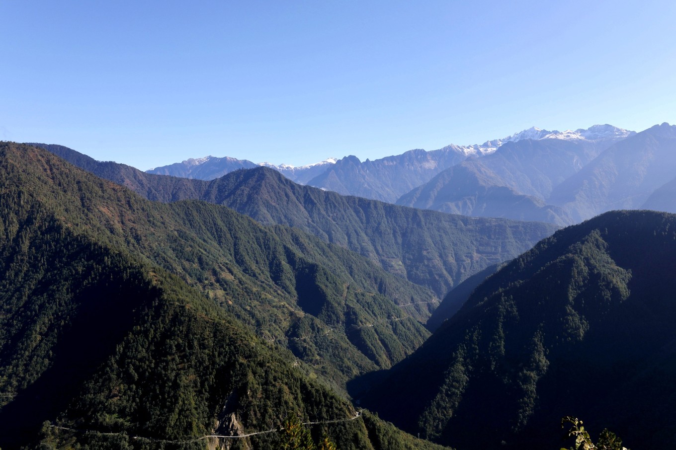 高黎贡山自然保护区