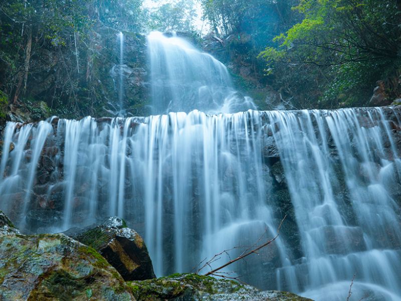 阳明山国家森林公园